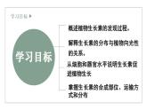 5.1生长素的发现开启了人类对植物激素调节的探索（1）（教学课件）——高中生物学浙科版（2019）选择性必修一