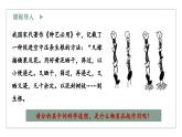 5.1生长素的发现开启了人类对植物激素调节的探索（2）（教学课件）——高中生物学浙科版（2019）选择性必修一