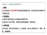 5.1生长素的发现开启了人类对植物激素调节的探索（2）（教学课件）——高中生物学浙科版（2019）选择性必修一