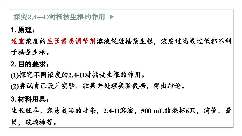 5.1生长素的发现开启了人类对植物激素调节的探索（2）（教学课件）——高中生物学浙科版（2019）选择性必修一04