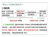 5.1生长素的发现开启了人类对植物激素调节的探索（2）（教学课件）——高中生物学浙科版（2019）选择性必修一