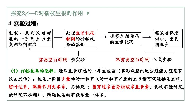 5.1生长素的发现开启了人类对植物激素调节的探索（2）（教学课件）——高中生物学浙科版（2019）选择性必修一05