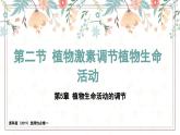 5.2植物激素调节植物生命活动（教学课件）——高中生物学浙科版（2019）选择性必修一