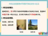 5.3植物对多种环境信号做出反应（教学课件）——高中生物学浙科版（2019）选择性必修一