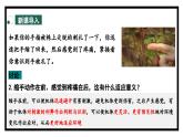 2.3人体通过神经调节对刺激作出反应（1）（教学课件）——高中生物学浙科版（2019）选择性必修一
