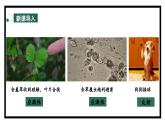 2.3人体通过神经调节对刺激作出反应（1）（教学课件）——高中生物学浙科版（2019）选择性必修一
