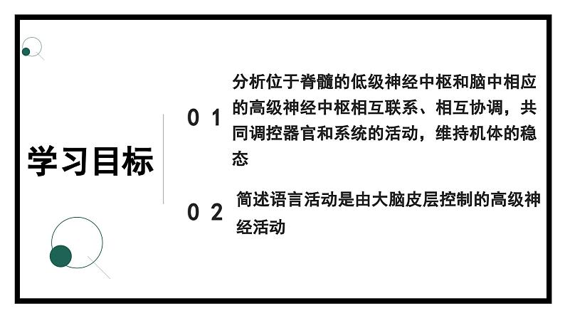 2.3人体通过神经调节对刺激作出反应（2）（教学课件）——高中生物学浙科版（2019）选择性必修一第2页