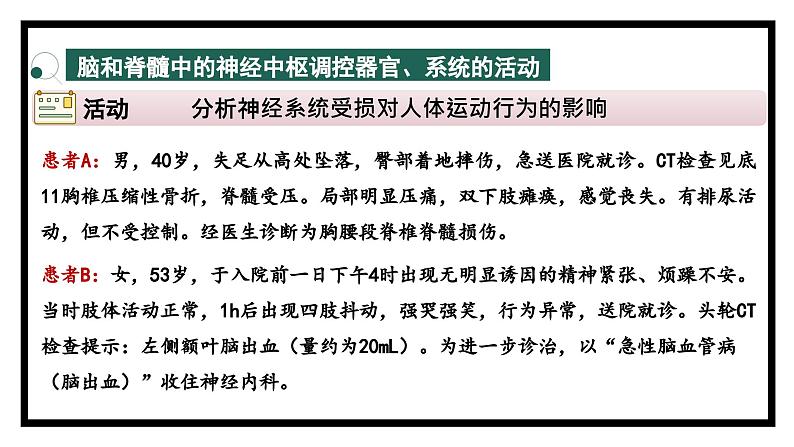 2.3人体通过神经调节对刺激作出反应（2）（教学课件）——高中生物学浙科版（2019）选择性必修一第8页