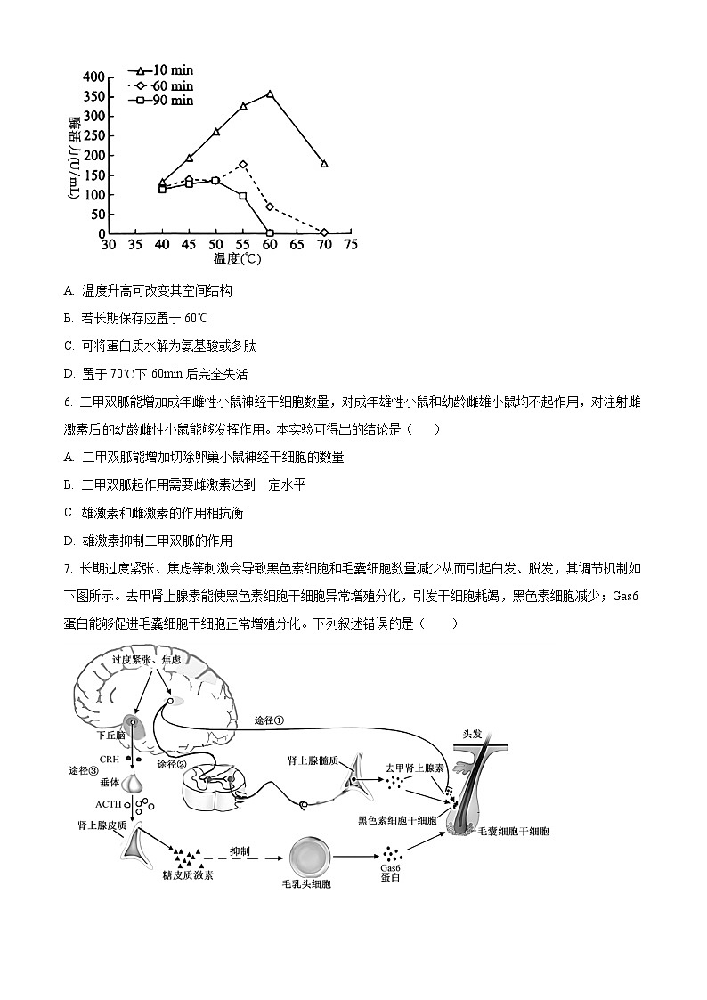 2024漯河高二下学期期末考试生物含解析03