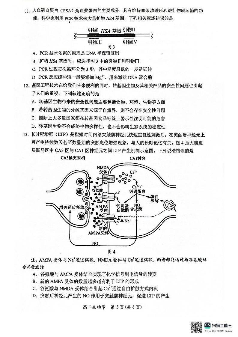 2024百色高二下学期7月期末考试生物PDF版含解析第3页