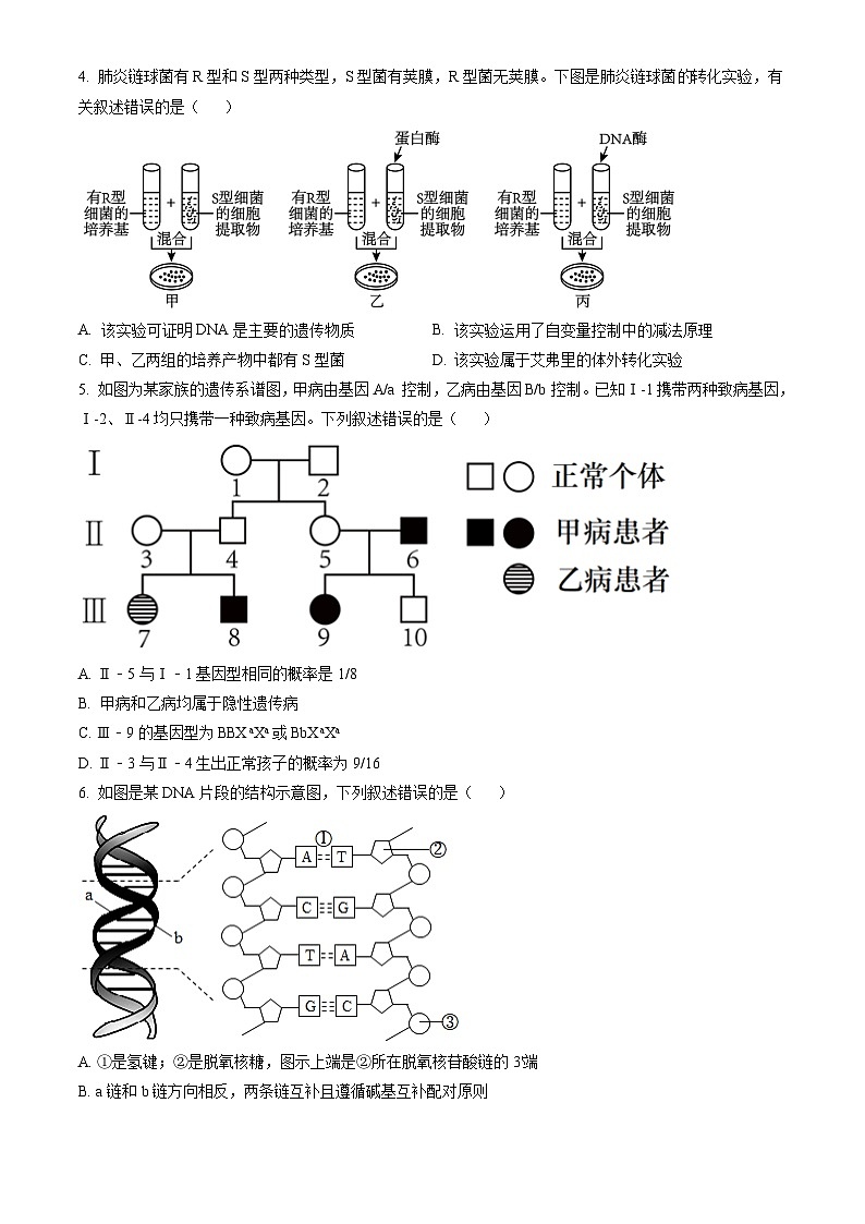 甘肃省酒泉市2023-2024学年高一下学期7月期末考试 生物试题 Word版含答案第2页