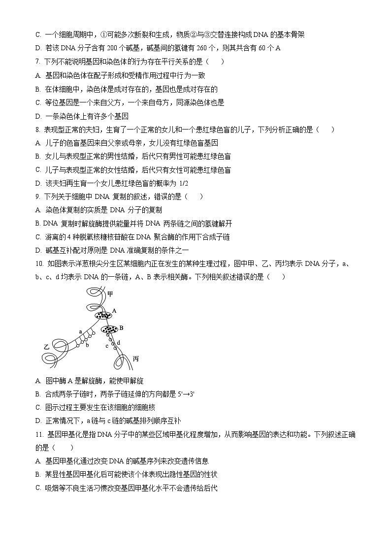 甘肃省酒泉市2023-2024学年高一下学期7月期末考试 生物试题 Word版含答案第3页