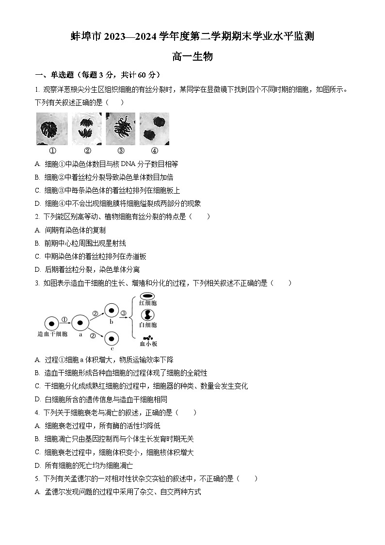 安徽省蚌埠市2023-2024学年高一下学期7月期末考试 生物试题 Word版含答案第1页