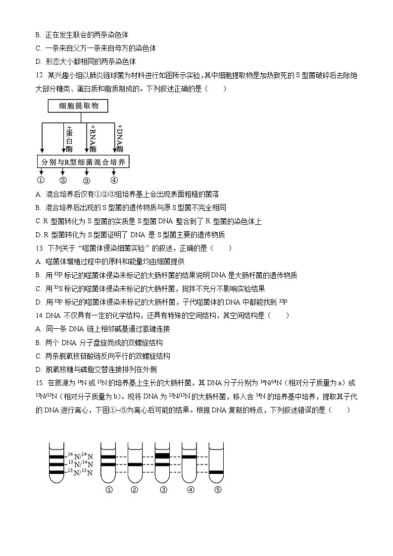 安徽省蚌埠市2023-2024学年高一下学期7月期末考试 生物试题 Word版含答案第3页