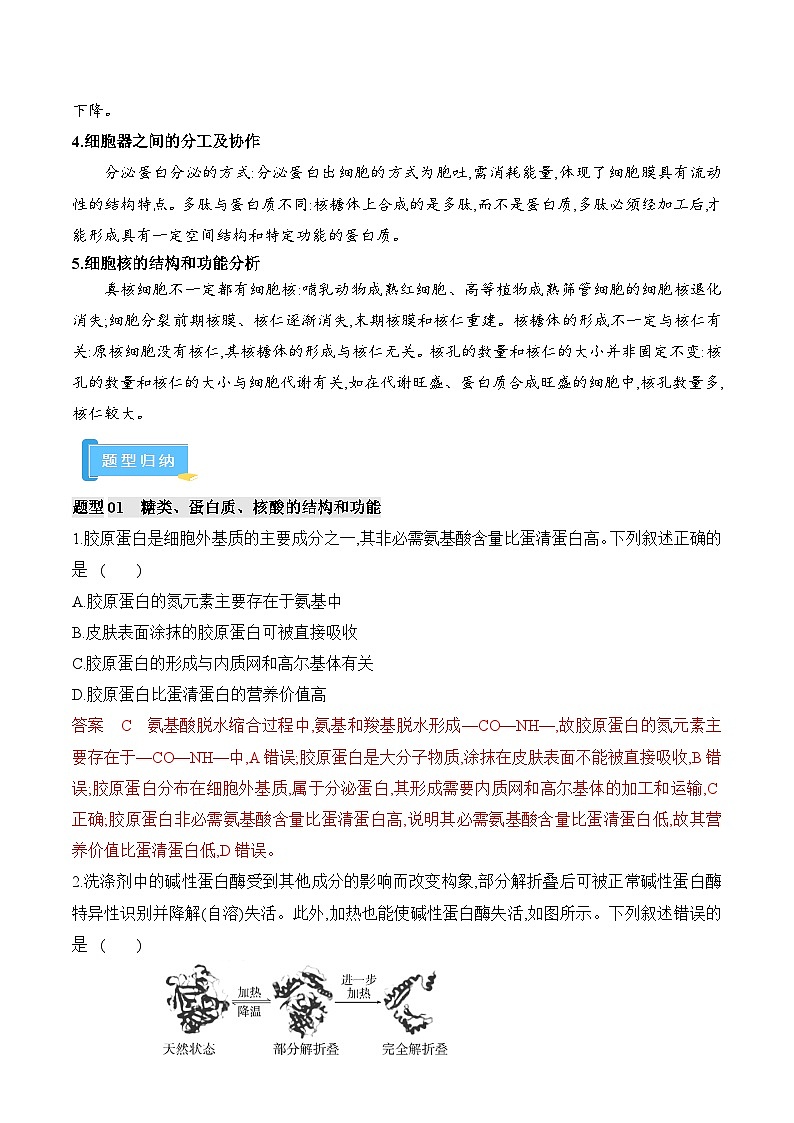 高频考点01 细胞的组成结构和功能（5大考向+3大题型）-【考点解密】最新高考生物二轮复习考点解密与预测（浙江专用）03