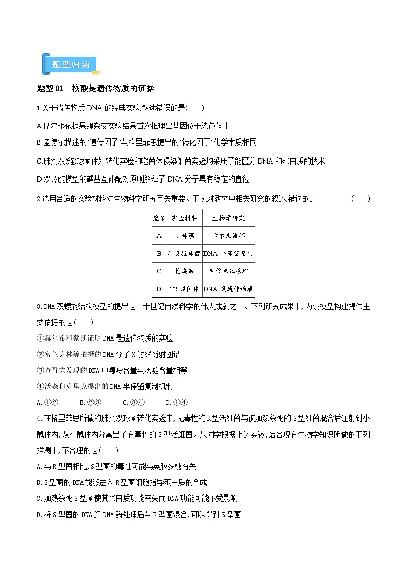 高频考点05 遗传的分子基础（9大考向+3大题型）-【考点解密】最新高考生物二轮复习考点解密与预测（浙江专用）03