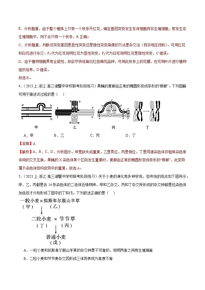 专题06 变异和进化（分层练）-【考点解密】最新高考生物二轮复习考点解密与预测（浙江专用）03