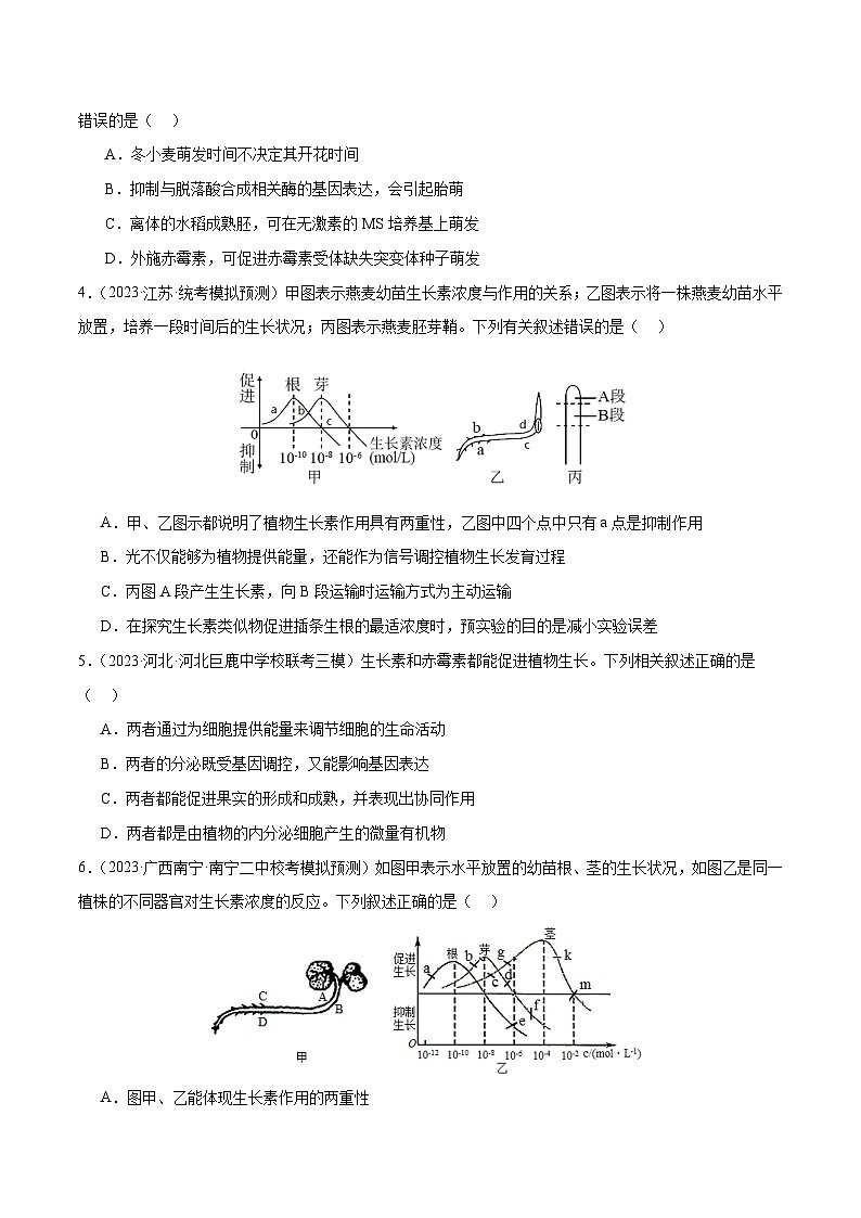 专题08 植物生命活动的调节（分层练）（原卷版）第2页