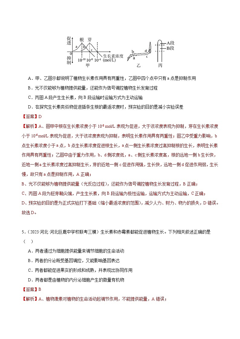专题08 植物生命活动的调节（分层练）（解析版）第3页