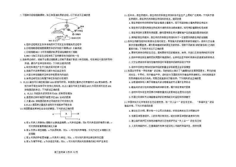 内蒙古自治区赤峰市2023-2024学年高二下学期7月期末考试生物试卷（Word版附答案）03