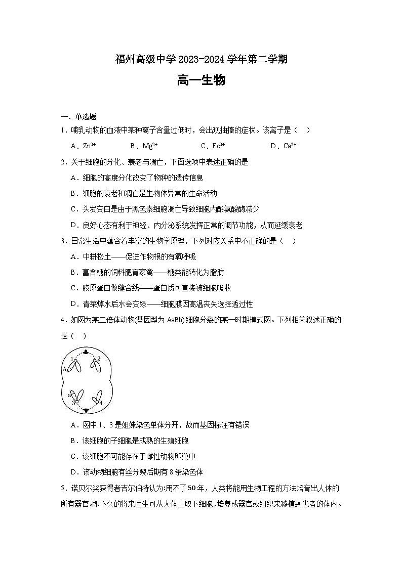 福建省福州市仓山区福建省福州高级中学2023-2024学年高一下学期7月期末生物试题01