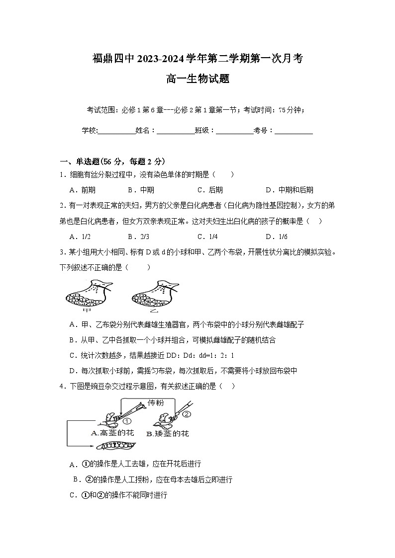福建省宁德市福鼎第四中学2023-2024学年高一下学期第一次月考生物试题01