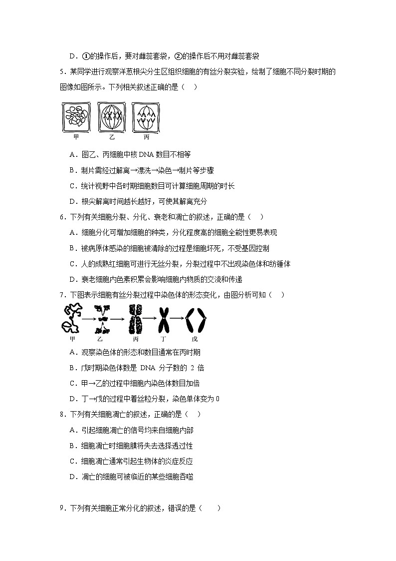 福建省宁德市福鼎第四中学2023-2024学年高一下学期第一次月考生物试题02