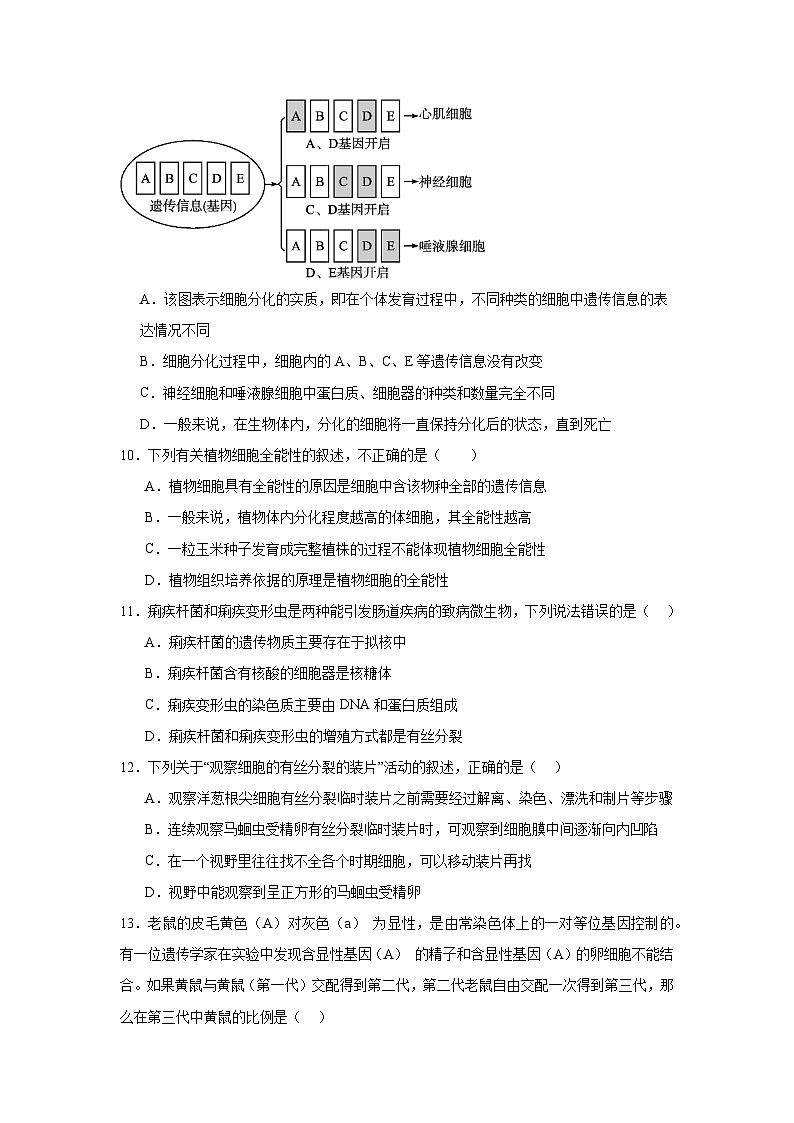福建省宁德市福鼎第四中学2023-2024学年高一下学期第一次月考生物试题03