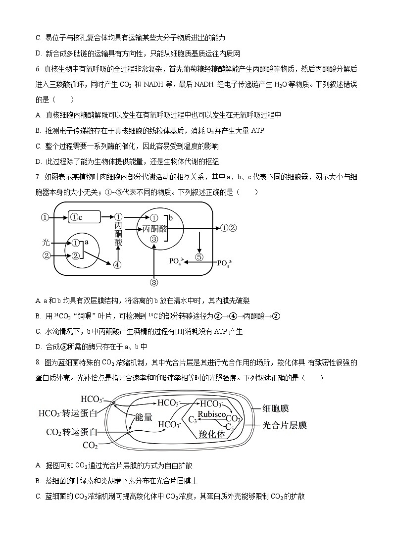 2024东营高二下学期7月期末考试生物含解析03