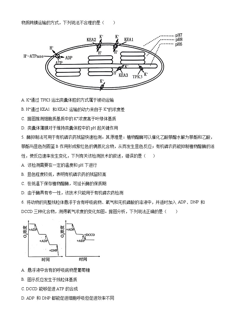 2024菏泽高二下学期7月期末考试生物含解析02