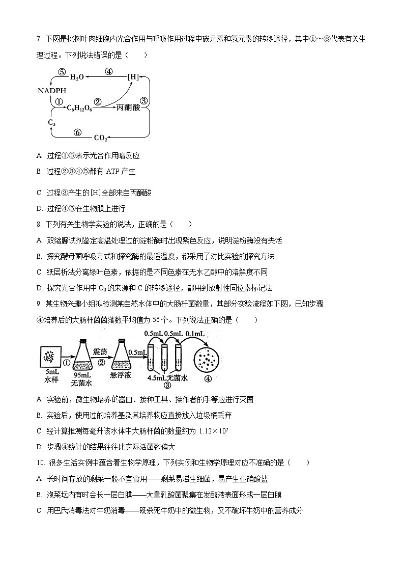 2024菏泽高二下学期7月期末考试生物含解析03