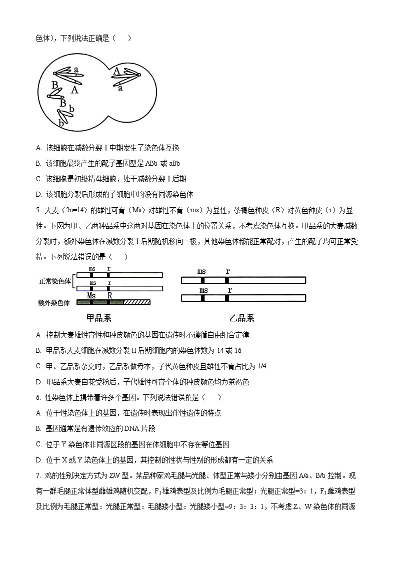 2024菏泽高一下学期7月期末考试生物含解析02