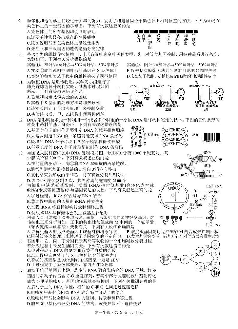 四川省泸州市2023-2024学年高一下学期期末考试生物试题02