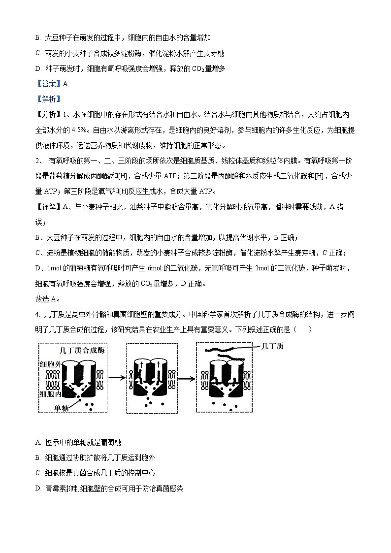 湖北省荆州市沙市区湖北省沙市中学2023-2024学年高三下学期7月月考生物试题03