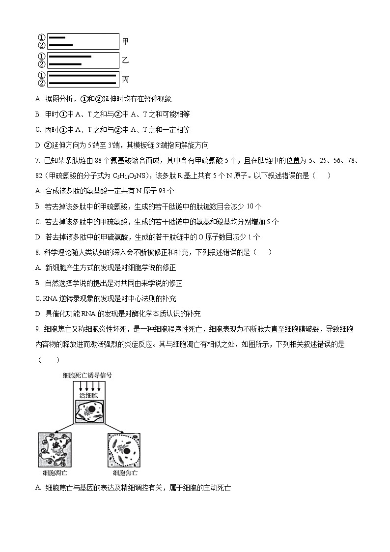 湖北省荆州市沙市区湖北省沙市中学2023-2024学年高三下学期7月月考生物试题03