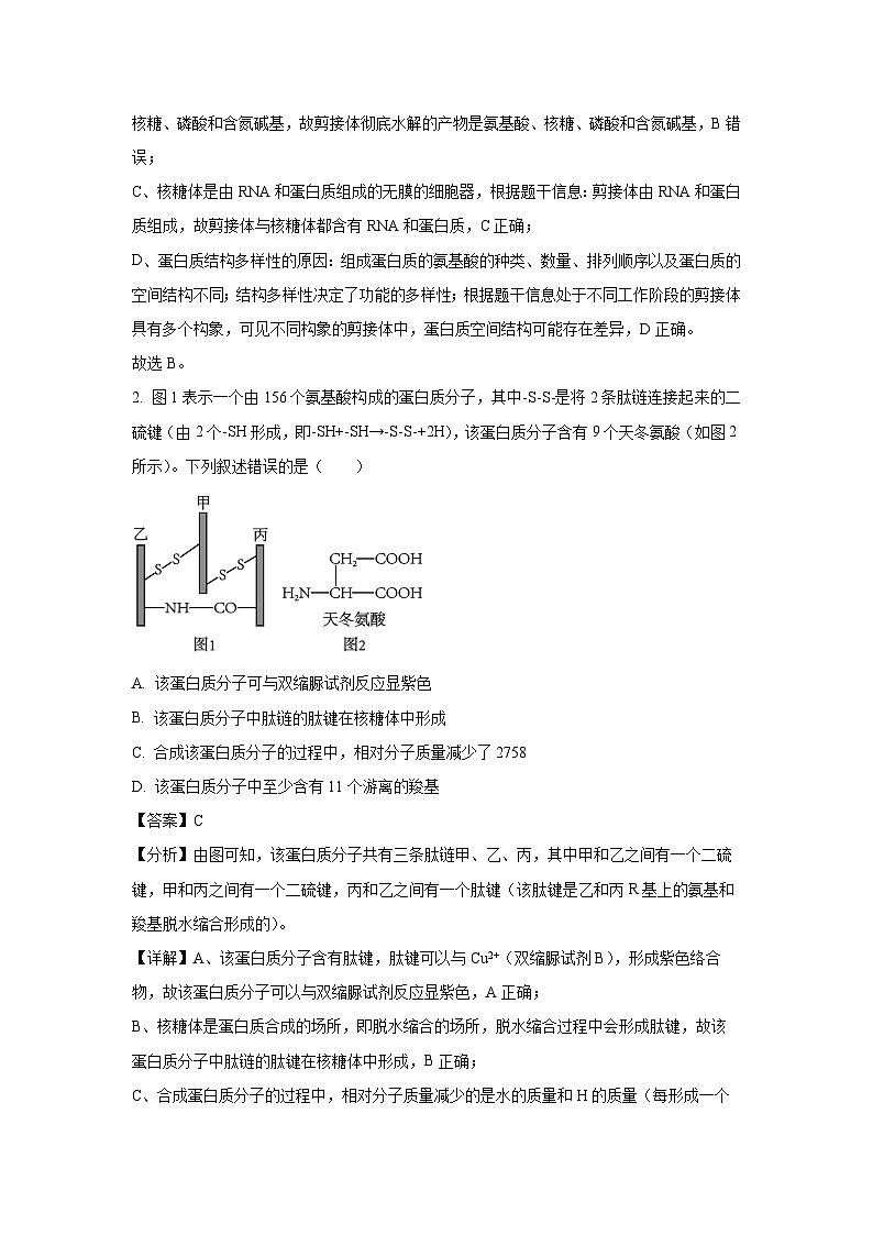 [生物][期中]福建省部分达标学校2023-2024学年高三上学期期中联考试卷(解析版)02