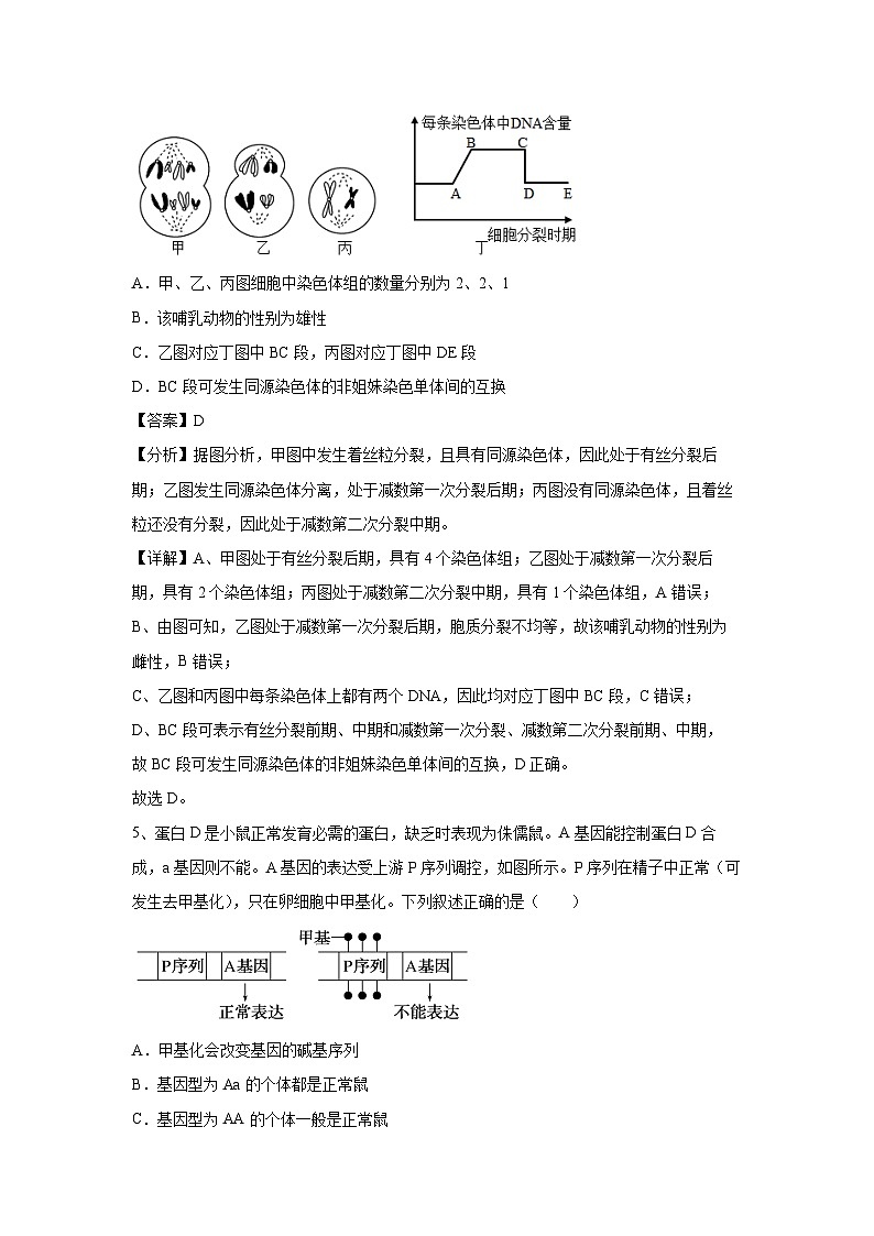 [生物]卷04-备战2024年高考生物临考压轴卷(天津卷)(解析版)第3页