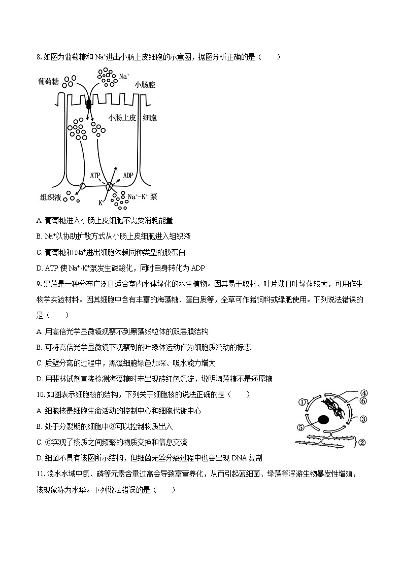 2023-2024学年吉林省长春市汽车经开三中高二（下）期末生物试卷（含答案）03