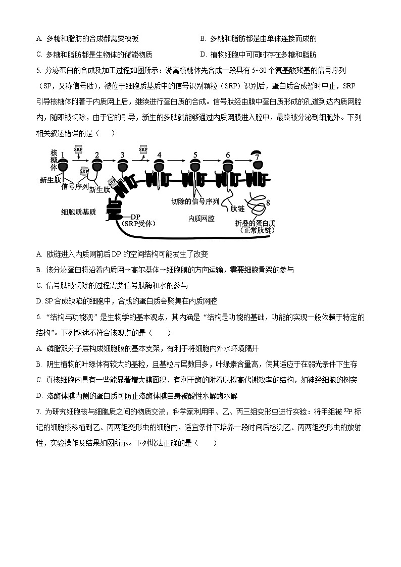 2024南阳高二下学期期末考试生物含解析02
