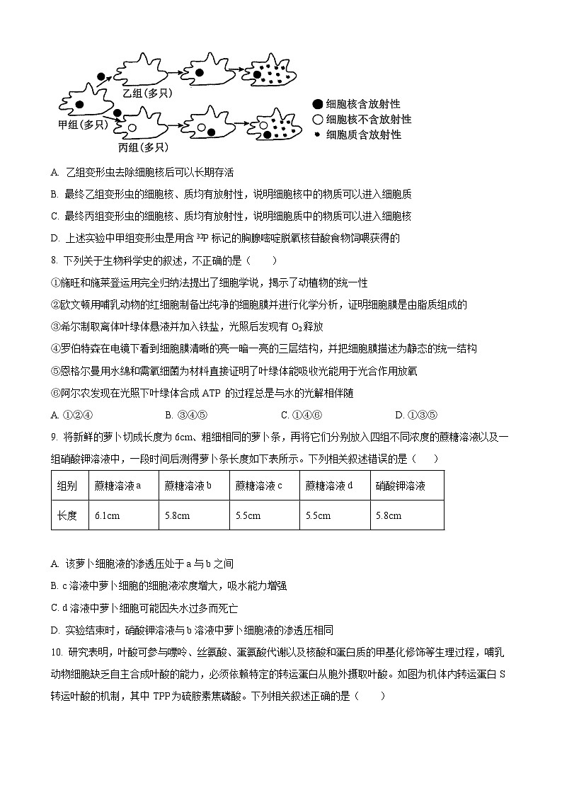 2024南阳高二下学期期末考试生物含解析03