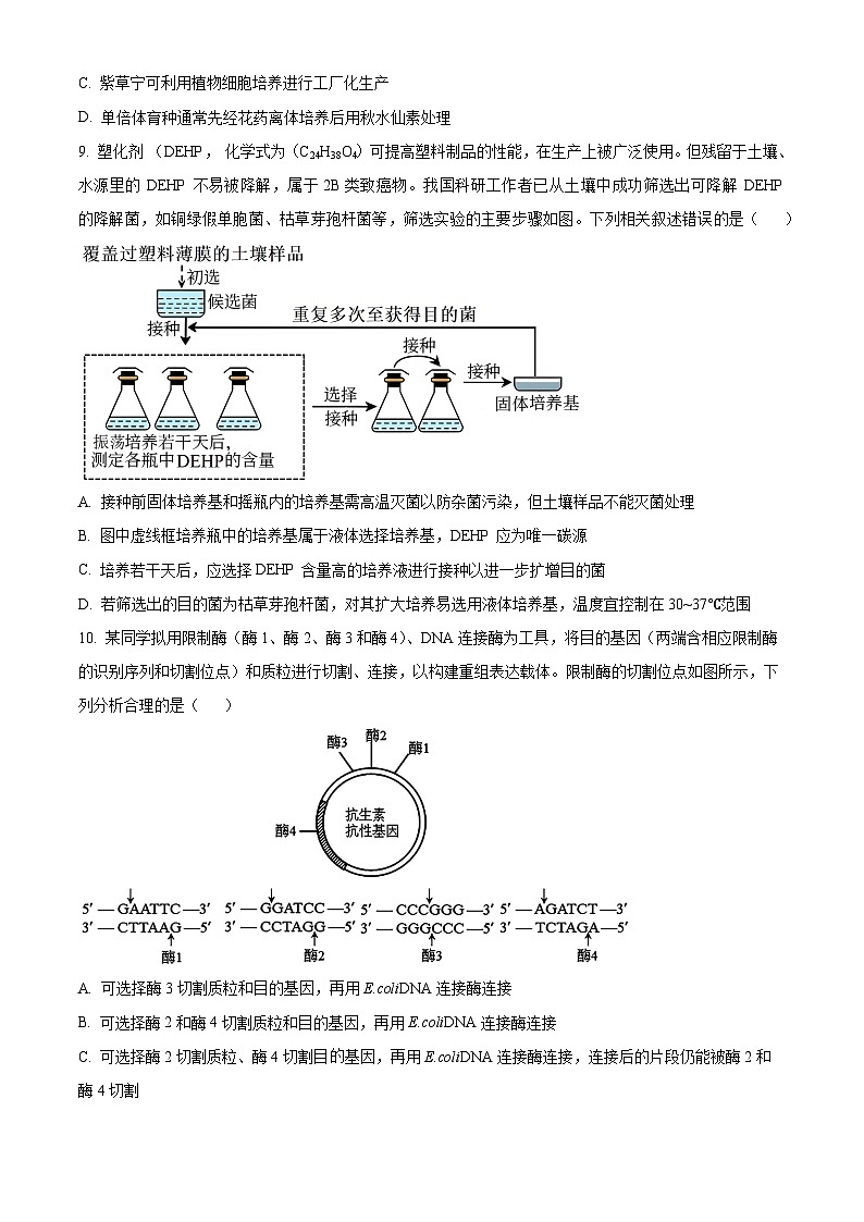 2024“BEST合作体”高二下学期7月期末考试生物含解析第3页