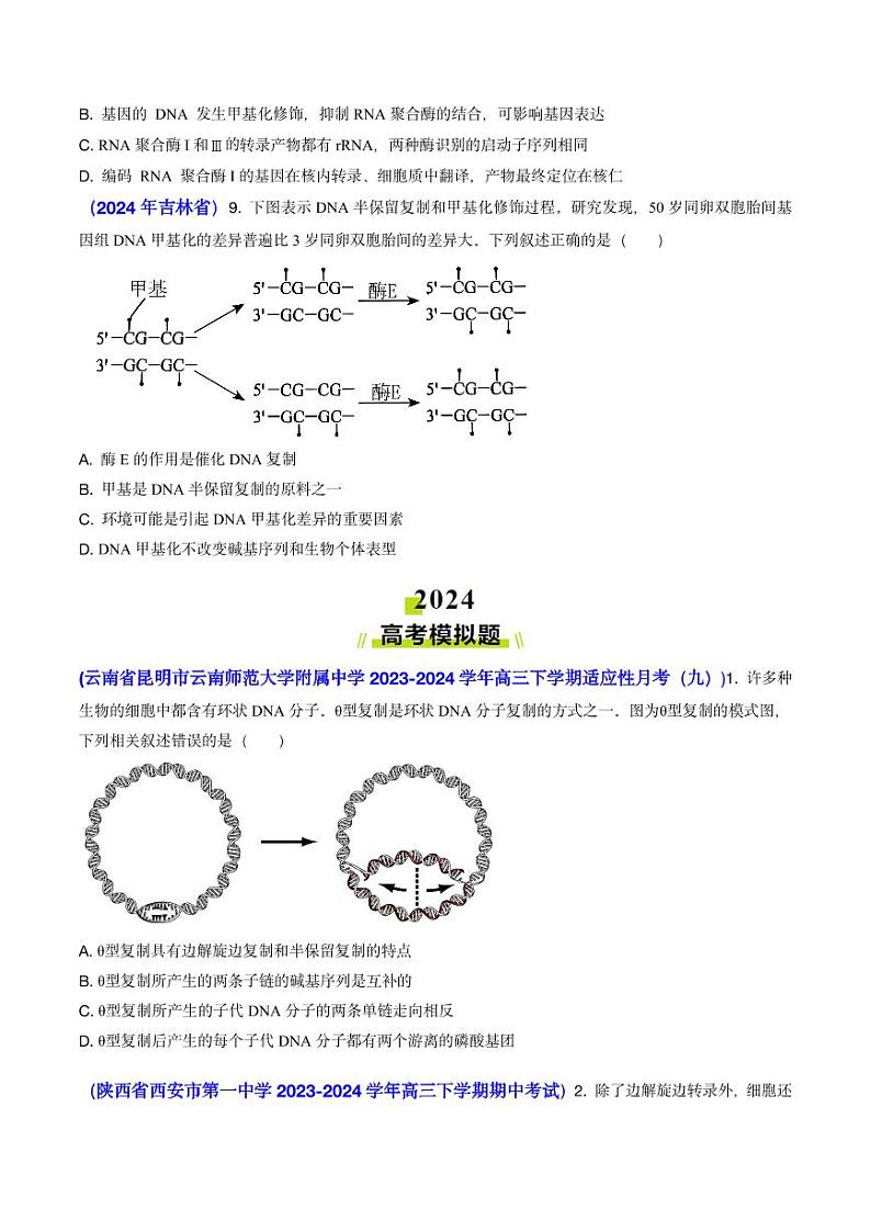专题09 遗传的分子基础-2024年高考真题和模拟题生物分类汇编（含解析）03