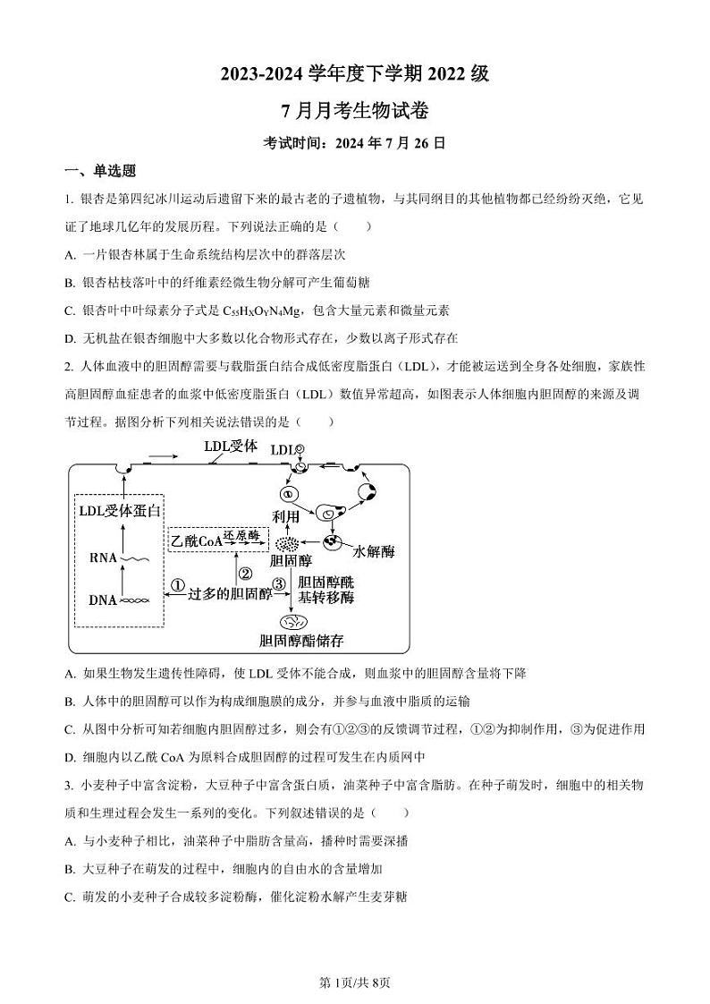 生物-湖北省荆州市沙市中学2025届（2022级）（新）高三上学期7月月考试题和答案01