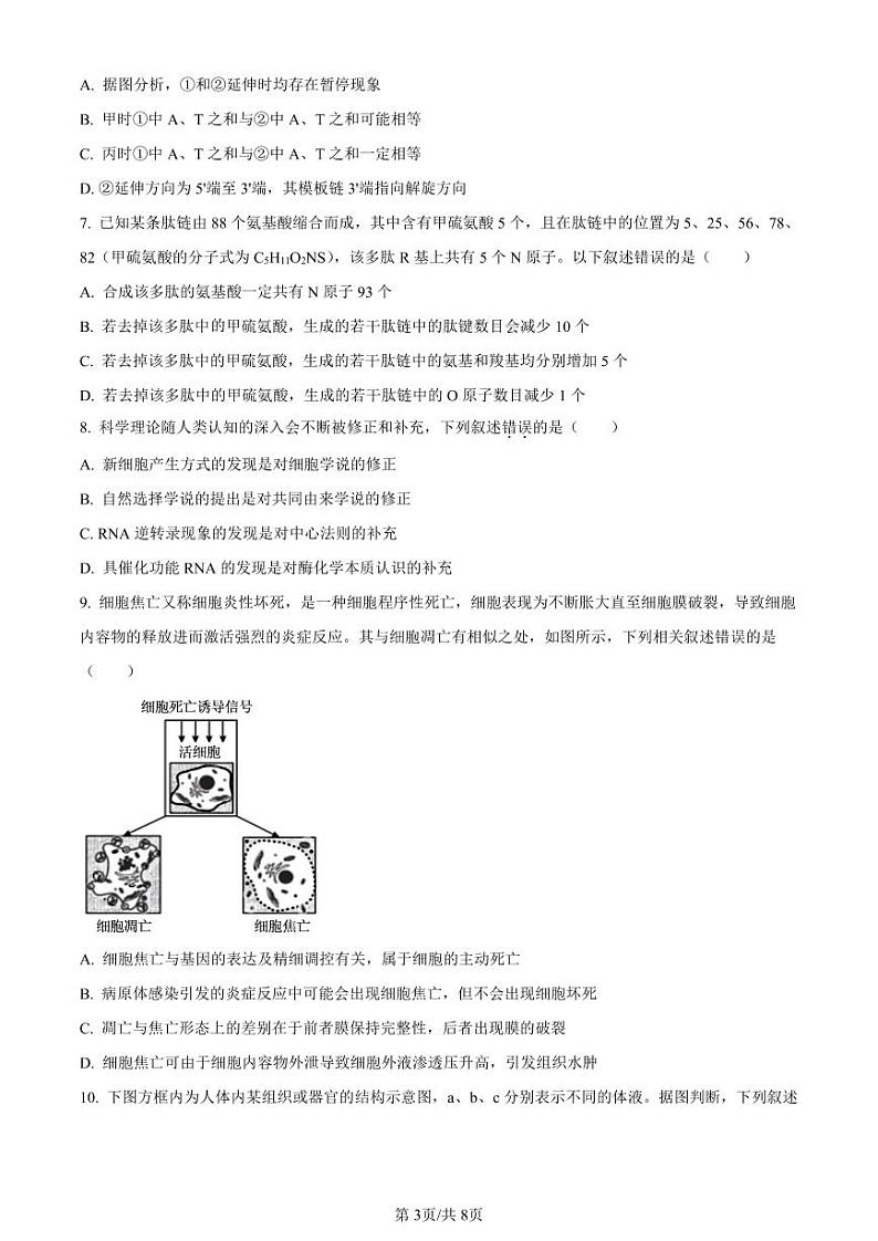 生物-湖北省荆州市沙市中学2025届（2022级）（新）高三上学期7月月考试题和答案03