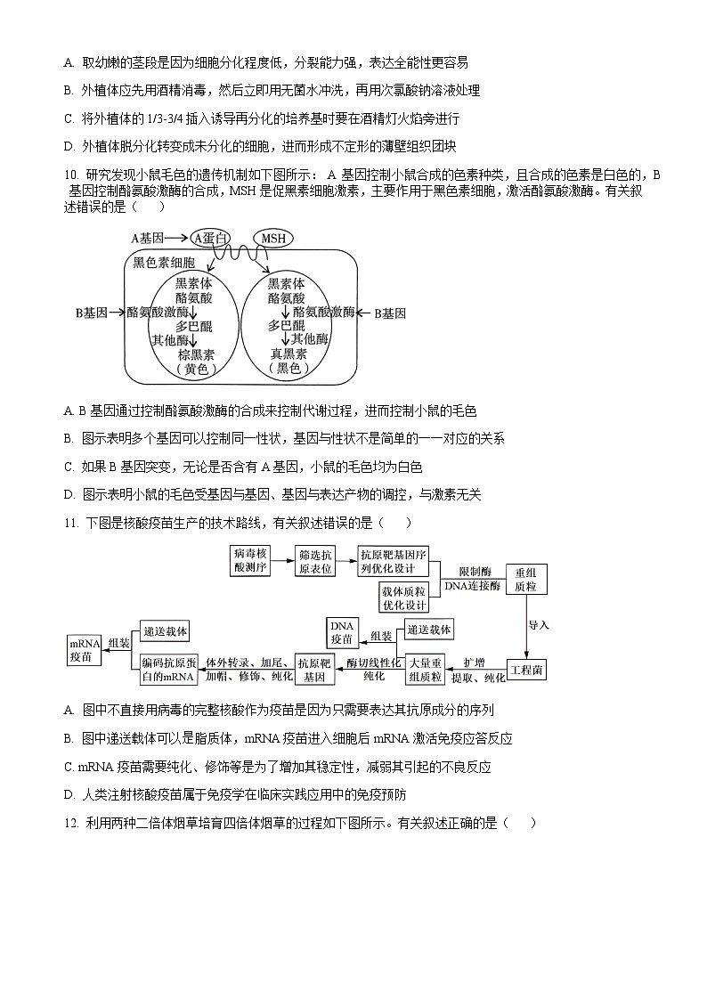 广东省揭阳市2023-2024学年高二下学期7月期末考试 生物试题 word版含答案第3页