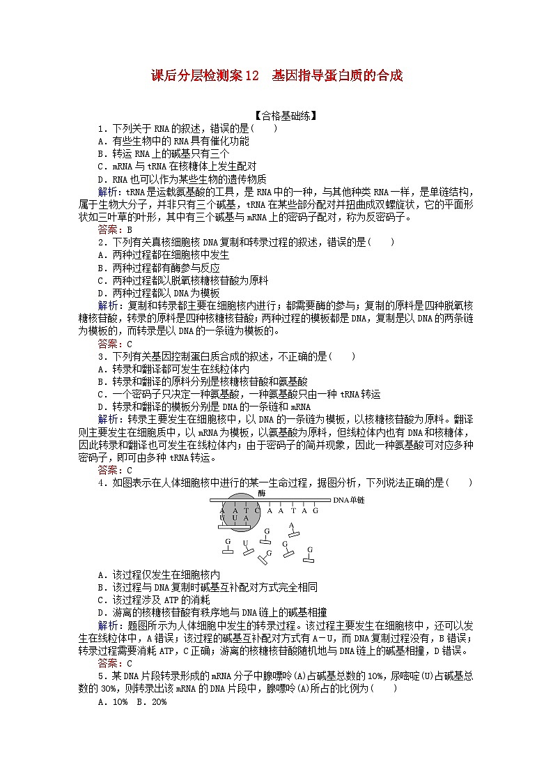 人教版必修2高中生物课后分层检测案12基因指导蛋白质的合成含解析01