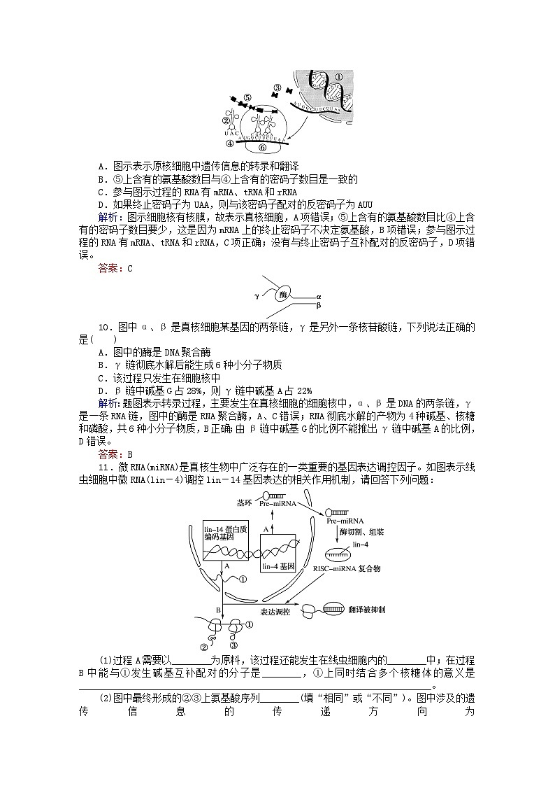人教版必修2高中生物课后分层检测案12基因指导蛋白质的合成含解析03