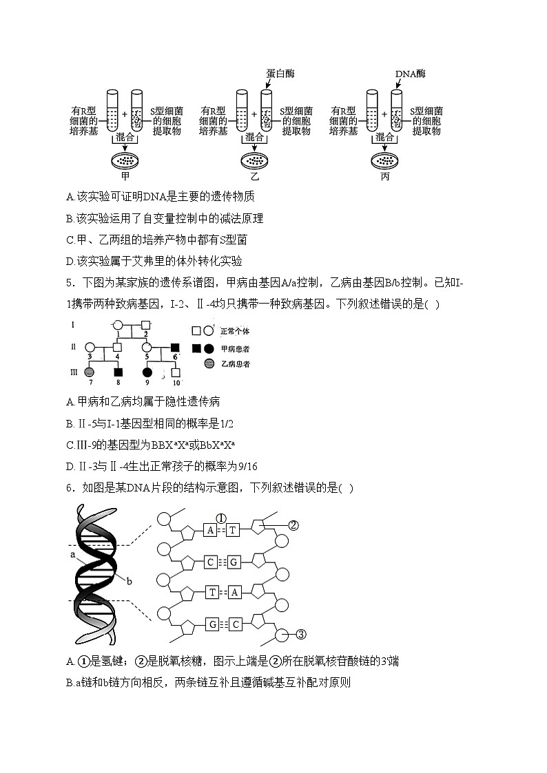 甘肃省酒泉市2023-2024学年高一下学期7月期末考试生物试卷(含答案)第2页