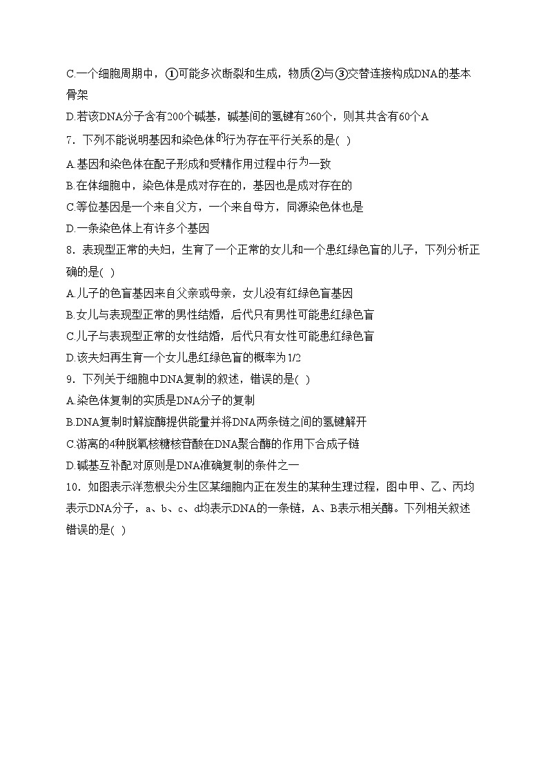 甘肃省酒泉市2023-2024学年高一下学期7月期末考试生物试卷(含答案)第3页