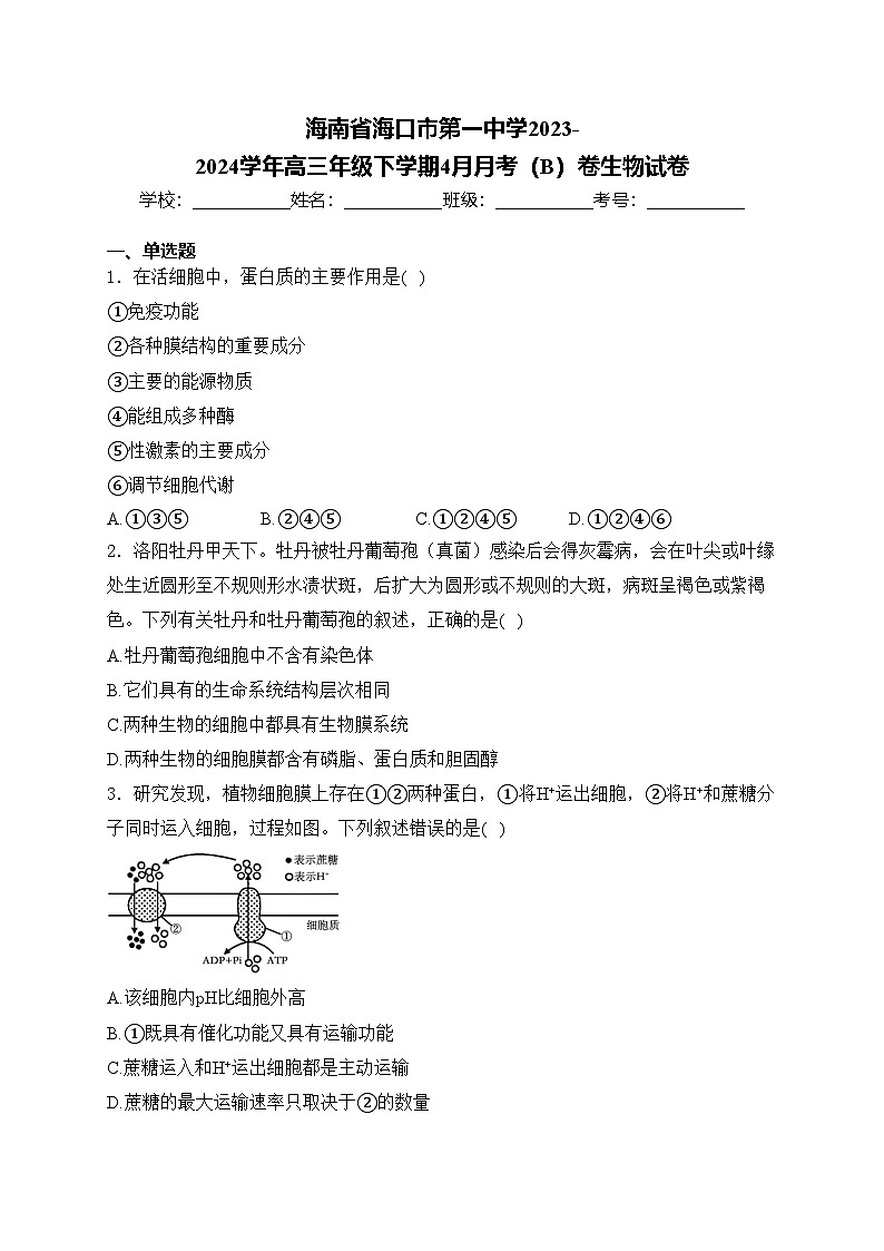 海南省海口市第一中学2023-2024学年高三年级下学期4月月考（B）卷生物试卷(含答案)第1页